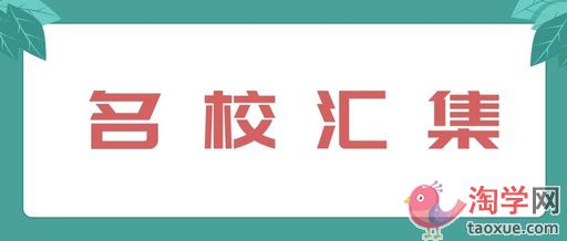 郑州最好的小学排行榜