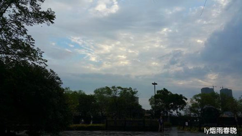 雨后小故事动态图