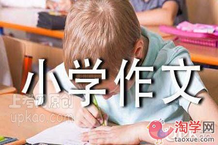 以快乐的一天为题目的作文（小学生）