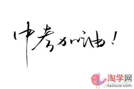 初三生在寒假要怎么进行各科的备考