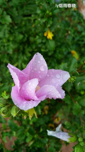 雨后小故事动态图