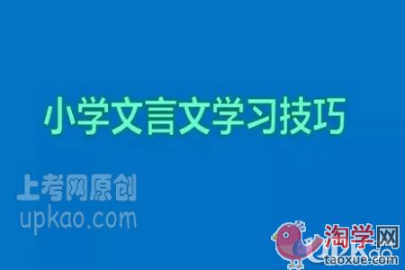 小学生学好文言文的方法有哪些