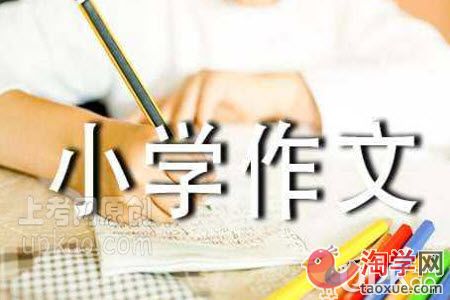 以校园景色为话题的小学生作文