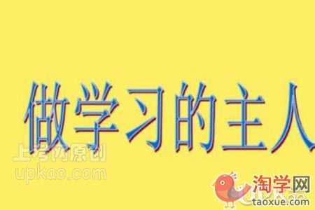 小学阶段优秀学生的学习经验有哪些