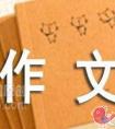 关于影子的命题作文600字（小学生）