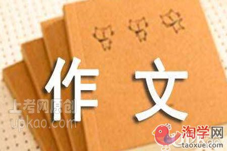 关于影子的命题作文600字（小学生）