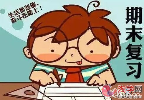 小学期末考试备考复习方法